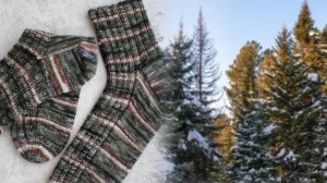 СП,, Носочное изобилие.". Отчёт 1 ,,Тайга"