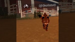 новый скин
★Скалистая Звезда версия PRO MAX