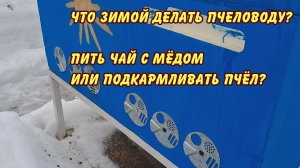 ПЧЕЛОВОДСТВО что зимой делать пчеловоду пить чай или подкармливать пчел мнение о методе жукова да