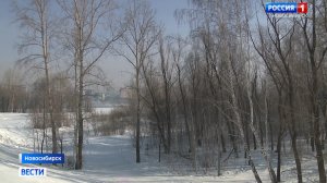 В Новосибирске презентовали дизайн-проект нового парка «Усть-Тула»