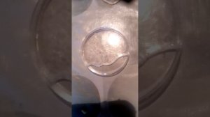 VID_20260228_164528.mp4