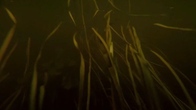 Сергей Воронин - Я был осторожен