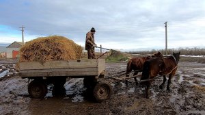 Архивное видео. Февраль 2022. Как это было! (часть 33)