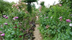 Сад, Клода Моне !