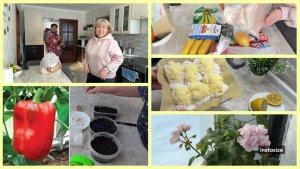 Посеяла ПЕРЕЦ. ЧЕРЕНКИ /ПЕЛАРГОНИИ. Вкусная РЫБКА