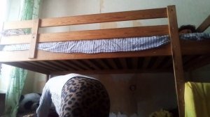 влог 28 февраля 🌨️ последний день зимы