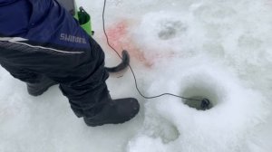 copy_C7AF967B-FA43-40AD-A1C5-CCCC38EFF457