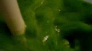 зелень замес Запись_2023_10_30_18_50_34_554