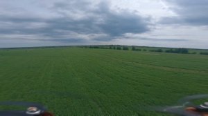 Чайник в FPV. Архивное...