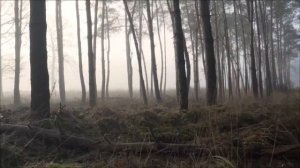 1 Марта - Поверните жизнь к свету.