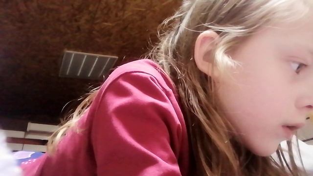 VID_20260228_004229.mp4