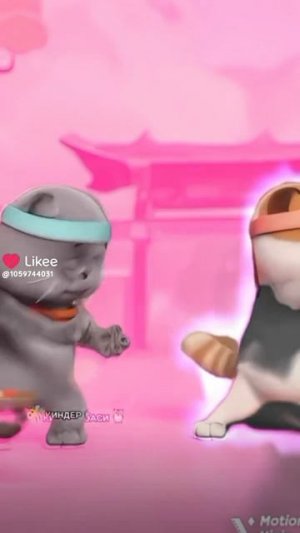 ДанилКолбасенко! #басик #мем #кот