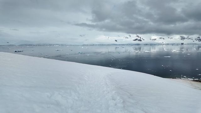 ANTARCTICA - Shot on iPhone 17 Pro Max   ProRes RAW + OpenGate
