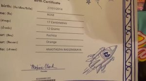 ВЛОГ： создали нового питомца Розочка и покупаем платья