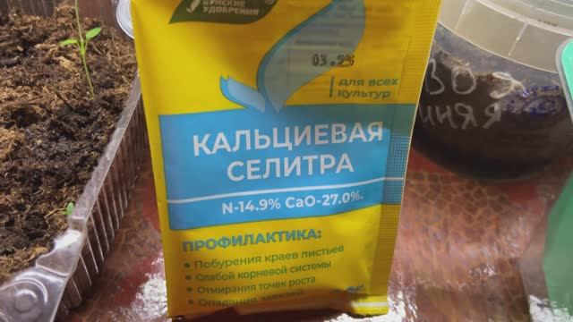Кальциевая селитра. Подкормка рассады. 26.02.26