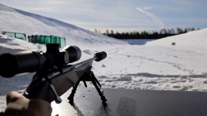 223 дозвук пуля лии