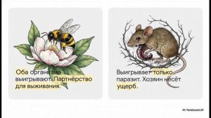 Биология 5 класс параграф 19 ОРГАНИЗМЫ КАК СРЕДА ОБИТАНИЯ краткий пересказ