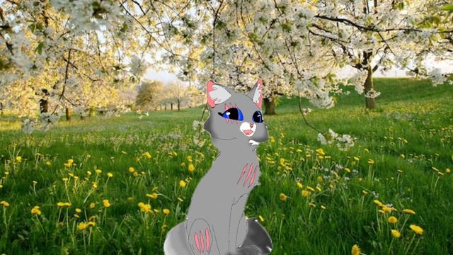 Вопрос ответ + конкурс артов! ||Коты воители||Луносветик КВ