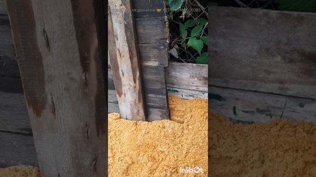 Дом и двор.Сборник интересных моментов на эту тему.Фильм12.Серия3