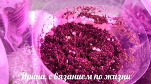 Влог с 23 февраля по 1 марта 2026г