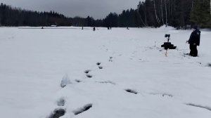 Видеозапись с дальней части водоёма.