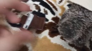 школа басиков часть 2