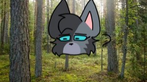 Dance of the Dove's Feather//Перо Голубки