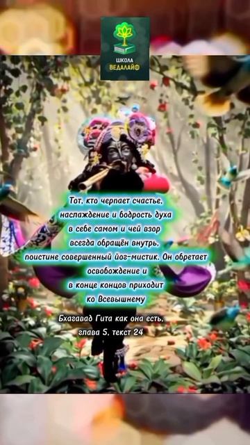 Бхагават Гита 5.24