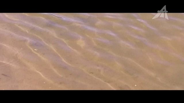 Распухли на глазах