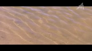 Распухли на глазах