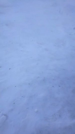 1000010954.mp4Привет с Бурятии.01.03.2026г.