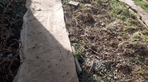 1 марта Первый день весны