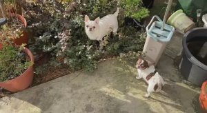 С первым днем весны, всем тепла и мирного неба!