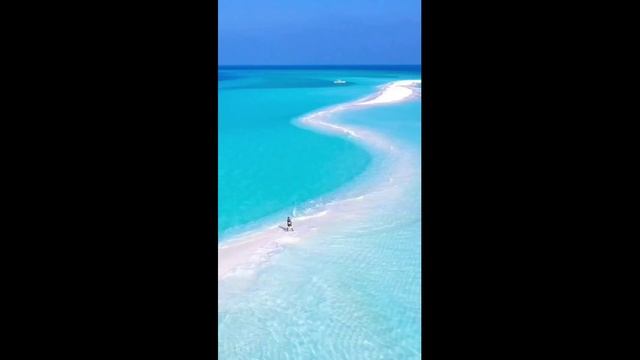 Тело На Прокат. фантастика,юмор