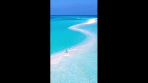 Тело На Прокат. фантастика,юмор