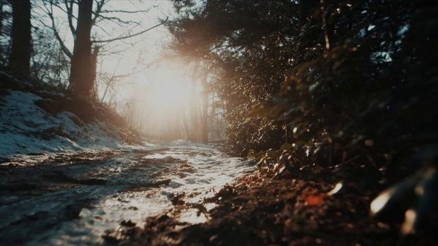 На стихи Розы Сиротиной