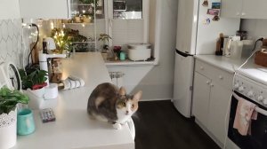 Уборка #574 забыла выложить 26-го!! полы зеркала!!