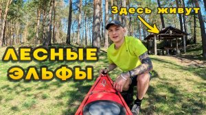 Сплав по реке Болва на каяках: Дикие реки Калужской области 🧭