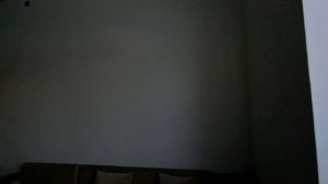 ЗЕЛЕНХОЗОВСКИЙ ПЕРЕУЛОК.