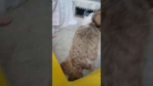 1000010216.mp4