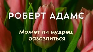 Мудрец не подавляет гнев. Он не владеет им. Роберт Адам