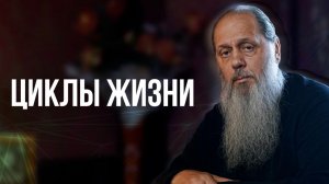 Циклы жизни