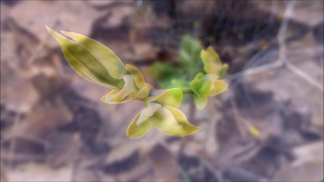 Поздравление с весной