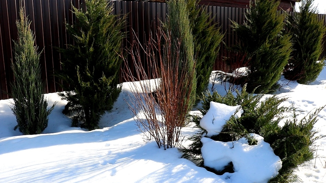 УРА! ВЕСНА! 1.03.2026г.