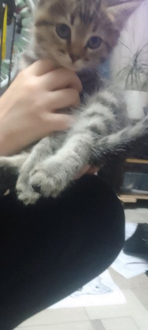 РАЗГАВОРЫ С ВАМИ