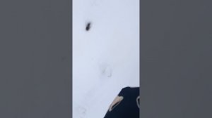 МЫ ГУЛЯЕМ 🎑