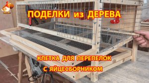 Клетка для перепелов с яйцесборником своими руками как сделать