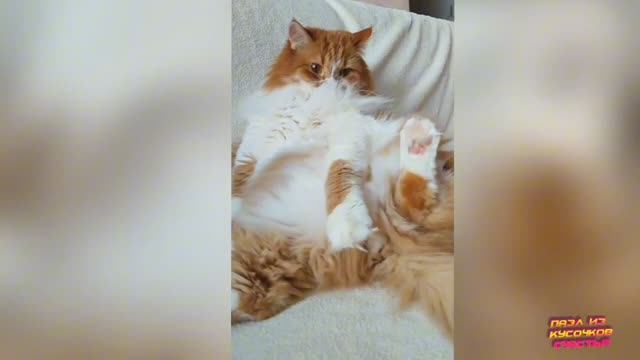 А мне по фен-шую ...