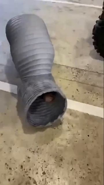 Первые 40 лет самые сложные в жизни мужчины