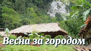 Весна за городом. Ловим рыбу, собираем овощи и отправляемся на рынок